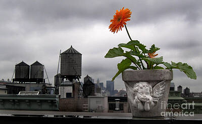 New York Skyline Royalty-Free and Rights-Managed Images - Waiting for the Sunshine by Paul  Gerace