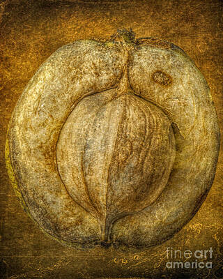 Impressionist Nudes Old Masters - Walnut Texture Macro Stil Life by Randy Steele
