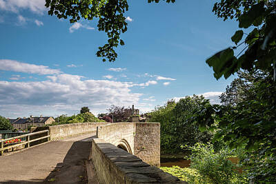 Mans Best Friend Rights Managed Images - Warkworth Old Bridge Royalty-Free Image by David Head
