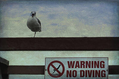 Nursery Room Signs - Warning No Diving 1 by Ernest Echols