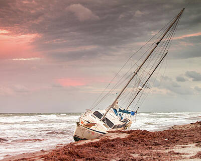 Recently Sold - Beach Rights Managed Images - Washed Up Royalty-Free Image by Les Greenwood