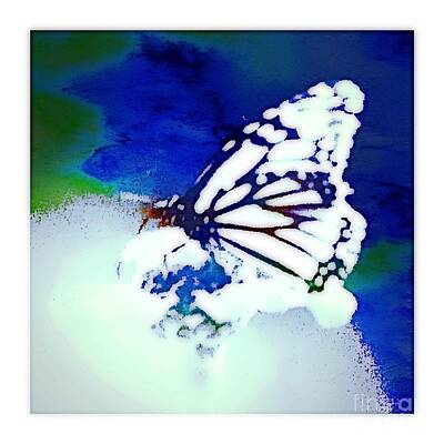 Stocktrek Images - Water Color Butterfly by Debra Lynch