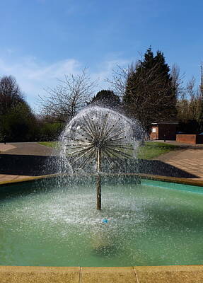 Green Grass - Water Fountain by Jeff Townsend