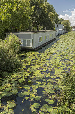 Food And Beverage Royalty Free Images - Water lilies on the canal Royalty-Free Image by Hazy Apple