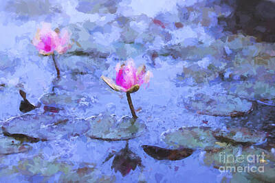 Impressionism Photo Rights Managed Images - Water lilies Royalty-Free Image by Sheila Smart Fine Art Photography