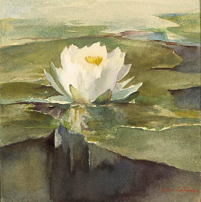 Lilies Paintings - Water Lily in Sunlight by Celestial Images