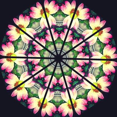 Lilies Digital Art - Water Lily Window by Steve Swindells