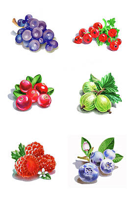 Terry Oneill - Watercolor Food Illustration Berries  by Irina Sztukowski
