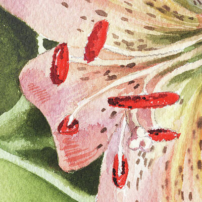 Lilies Paintings - Watercolor Tiger Lily Close Up I by Irina Sztukowski