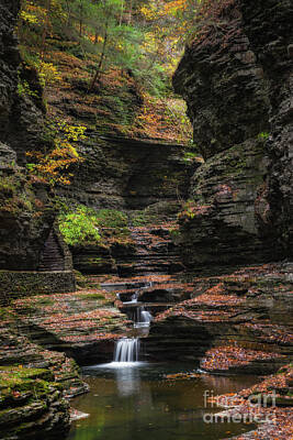 Recently Sold - Surrealism Photo Rights Managed Images - Watkins Glen Gorge  Royalty-Free Image by Michael Ver Sprill
