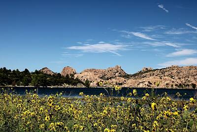 Pop Art Automobiles - Watson Lake with Daisies by Rick McKeon