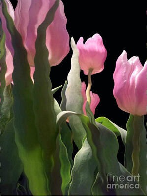 Pineapples Rights Managed Images - Wavy Tulips Royalty-Free Image by Ashley Bennett