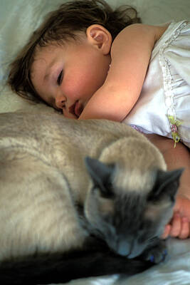 Animals Photo Royalty Free Images - While Baby Sleeps Royalty-Free Image by Kathy Yates