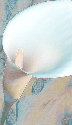 Abstract Flowers Photos - White Calla Lily in Pastel Colors  by Ben and Raisa Gertsberg