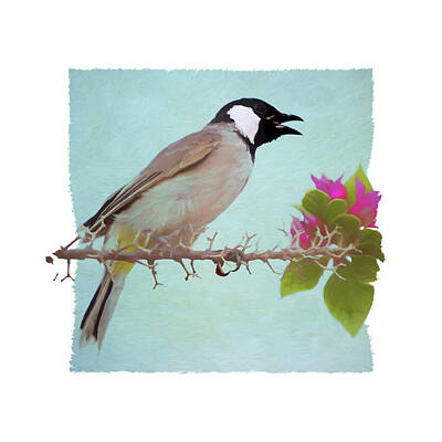 Wine Beer And Alcohol Patents - White-Eared Bulbul PF by Ronald Bolokofsky