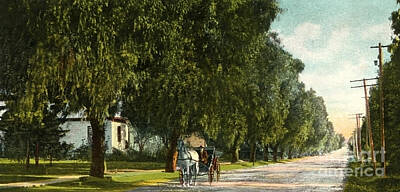 City Scenes Royalty-Free and Rights-Managed Images - White Oak Monrovia California 1910s by Sad Hill - Bizarre Los Angeles Archive