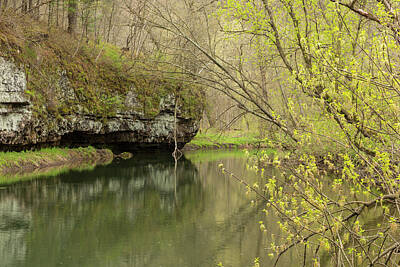 Modigliani - Whitewater River Spring 54 by John Brueske