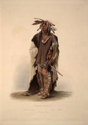 Animals Royalty Free Images - Wicked Chief by Charles Bird King, circa 1822 Royalty-Free Image by Charles Bird King