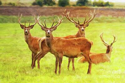 Mammals Paintings - Wild Deer by Esoterica Art Agency