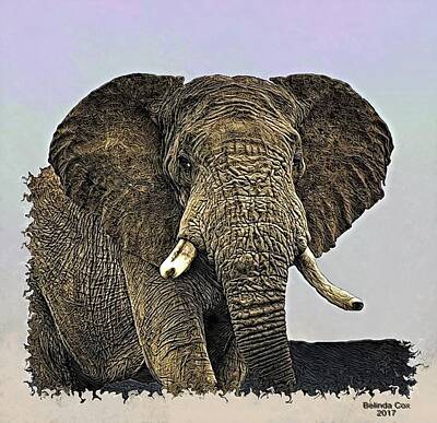 Royalty-Free and Rights-Managed Images - Wild Elephant by Artful Oasis