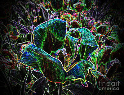 Abstract Flowers Photos - Wild Flower Colorful Tulip Abstract 2 by Adri Turner