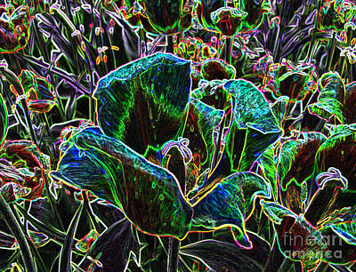 Abstract Flowers Digital Art - Wild Flower Colorful Tulip Abstract by Adri Turner