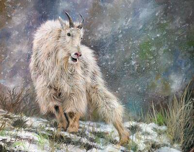 Mountain Paintings - Wild Mountain Goat by David Stribbling