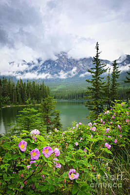 Best Sellers - Roses Photos - Wild roses and mountain lake in Jasper National Park by Elena Elisseeva