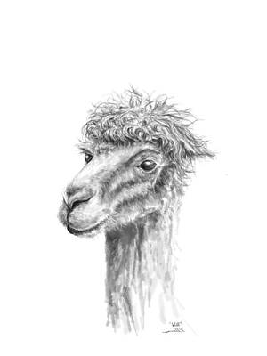 Mammals Drawings - Will by Kristin Llamas