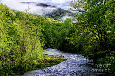 Royalty-Free and Rights-Managed Images - Williams River Spring Morning by Thomas R Fletcher
