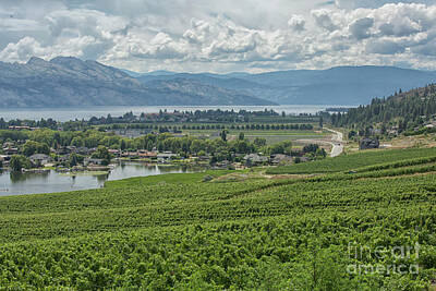 Michael Jackson - Winery View by Patricia Hofmeester