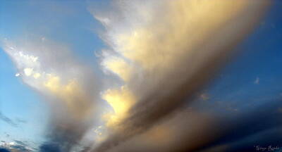 Lets Be Frank - Wings Cloudscape by Ginger Repke