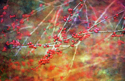 Recently Sold - Impressionism Photos - Winter Berries 7950 IDP_2 by Steven Ward