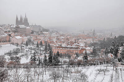 Owls - Winter Lesser Town. Snowy walk in Prague by Jenny Rainbow