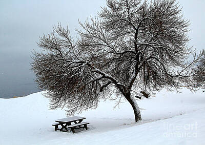 All You Need Is Love - Winter Picnic by Roland Stanke