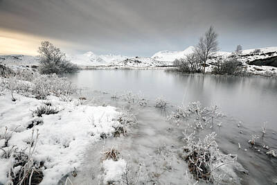 Landscapes Royalty-Free and Rights-Managed Images - Winter Pond by Grant Glendinning