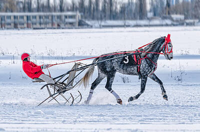 Crazy Cartoon Creatures - Winter racing. Sleigh rides. by SvS Art Photo