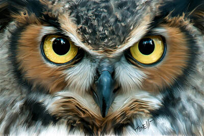 Birds Mixed Media - Night Owl, Wisdom  by Mark Tonelli