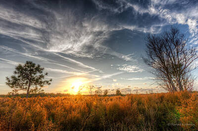 Vintage Signs - Wispy Cloud Sunset at the Field by Ronald Kotinsky