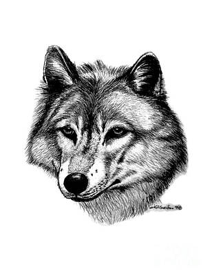 Animals Drawings - Wolf in pencil by Nick Gustafson