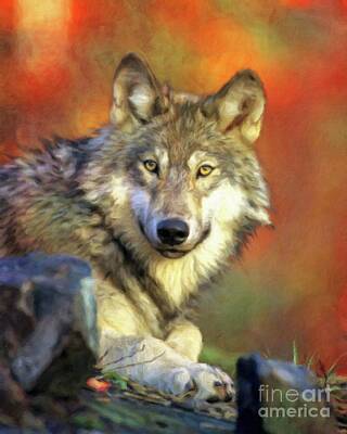 Animals Paintings - Wolf by Esoterica Art Agency