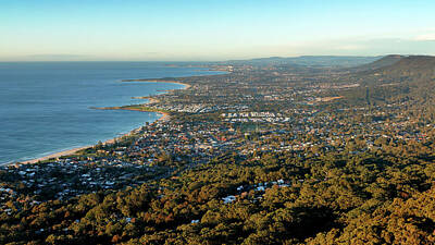 Frog Photography - Wollongong by Nicholas Blackwell