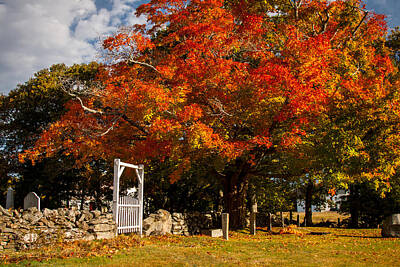 1-war Is Hell - Wooden gate in rockwall under fall foliage by Jeff Folger