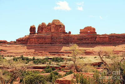 Spot Of Tea - Wooden Shoe Arch in Canyonlands National Park 3327 by Jack Schultz