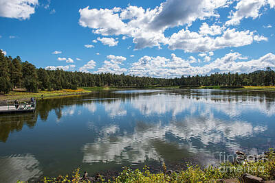 Fine Dining Rights Managed Images - Woodland Lake Pinetop, Arizona Royalty-Free Image by Michael Moriarty