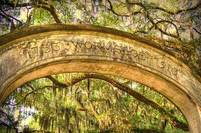 Fashion Paintings - Wormsloe Arch by Linda Covino