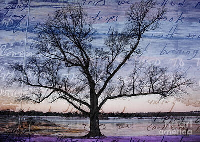 Landscapes Mixed Media Royalty Free Images - Written on the Wind Royalty-Free Image by Terry Rowe