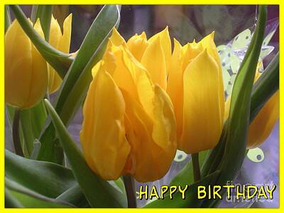 I Scream You Scream We All Scream For Ice Cream - Yellow Flame Tulips Greeting 2 by Joan-Violet Stretch