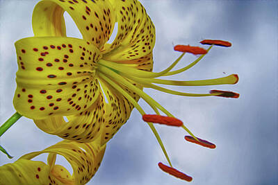 Di Kaye Art Deco Fashion - yellow Lilies - flower by Tatiana Tyumeneva