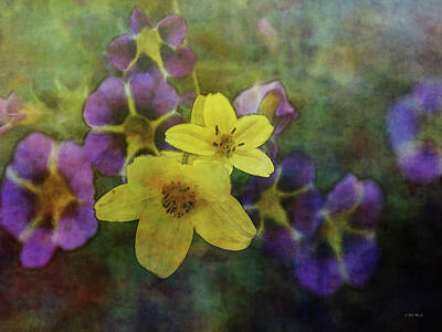 Impressionism Photos - Yellow Over Purple 9626 IDP_2 by Steven Ward